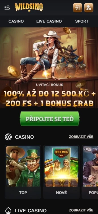 Mobilní verze Wildsino Casino